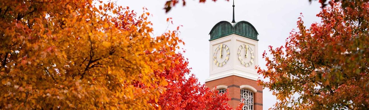 Cook Carillon Tower rises behind colorful fall trees